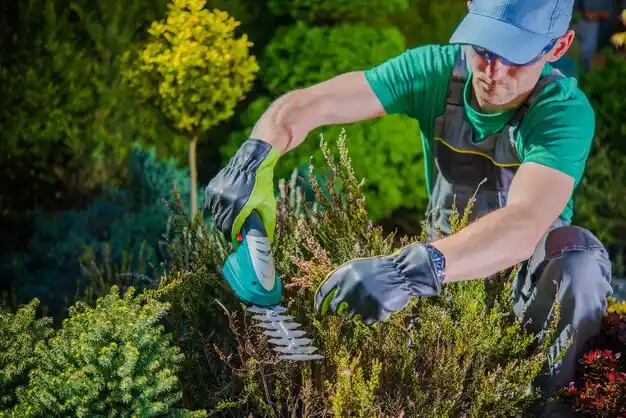 landscaping services Walled Lake